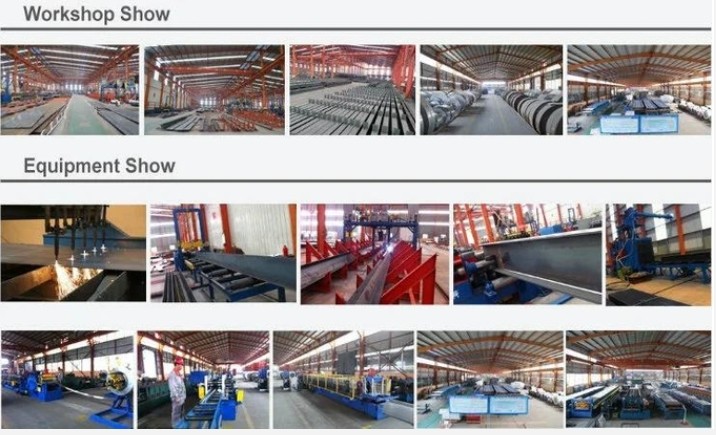 Qingdao Xinguangzheng Husbandry Co.,  Ltd কারখানা উত্পাদন লাইন