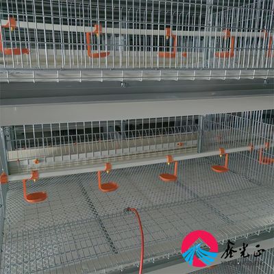 EPS ইন্সুলেটেড চিকেন ফার্ম হাউস অ্যালুমিনিয়াম খাদ জানালা সহ