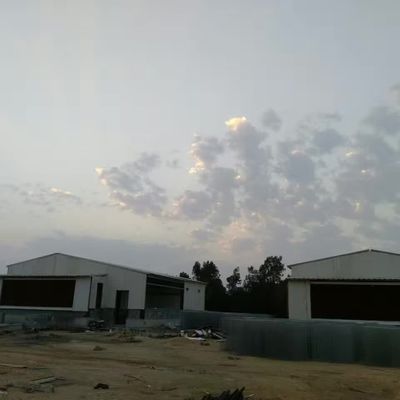 প্রাক ইঞ্জিনিয়ারড গবাদি পশু ফার্ম হাউস চিকেন ইস্পাত কাঠামো গুদাম