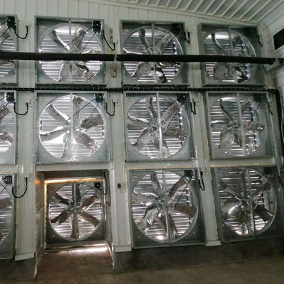 OEM স্ট্যান্ডার্ড পোল্ট্রি হাউস স্লাইডিং উইন্ডোজ সহ ইস্পাত কাঠামো