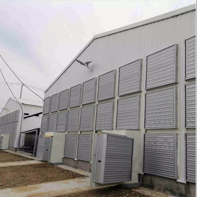 OEM স্ট্যান্ডার্ড পোল্ট্রি হাউস স্লাইডিং উইন্ডোজ সহ ইস্পাত কাঠামো