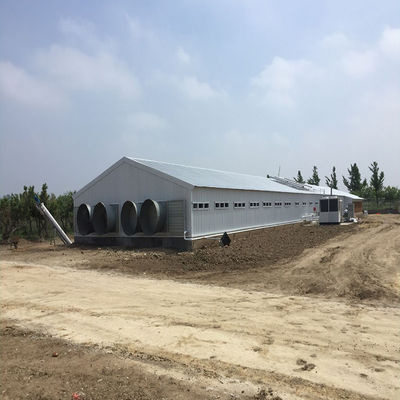 পোল্ট্রি ফার্ম চিকেন হাউস হালকা প্রিফ্যাব্রিকেটেড ইস্পাত কাঠামো বিল্ডিং