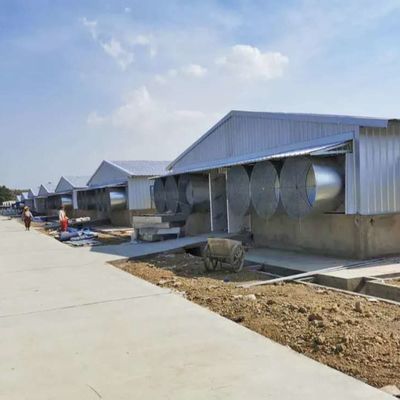 টেকসই আবহাওয়া প্রতিরোধী পাখি ইস্পাত বিল্ডিং আবহাওয়া প্রতিরোধী
