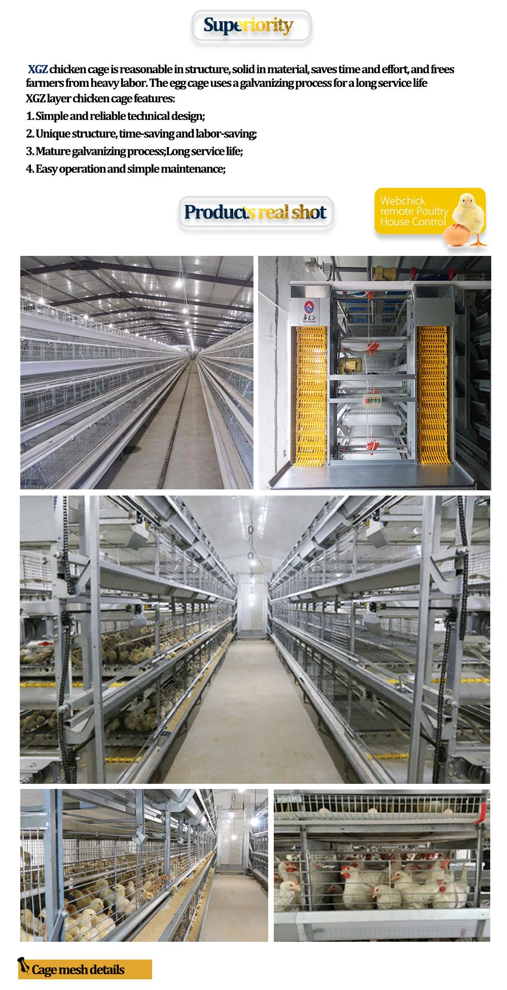ইস্পাত ফ্রেম ডিম স্তর চিকেন খাঁচা OEM চিকেন ডিম laying খাঁচা 2