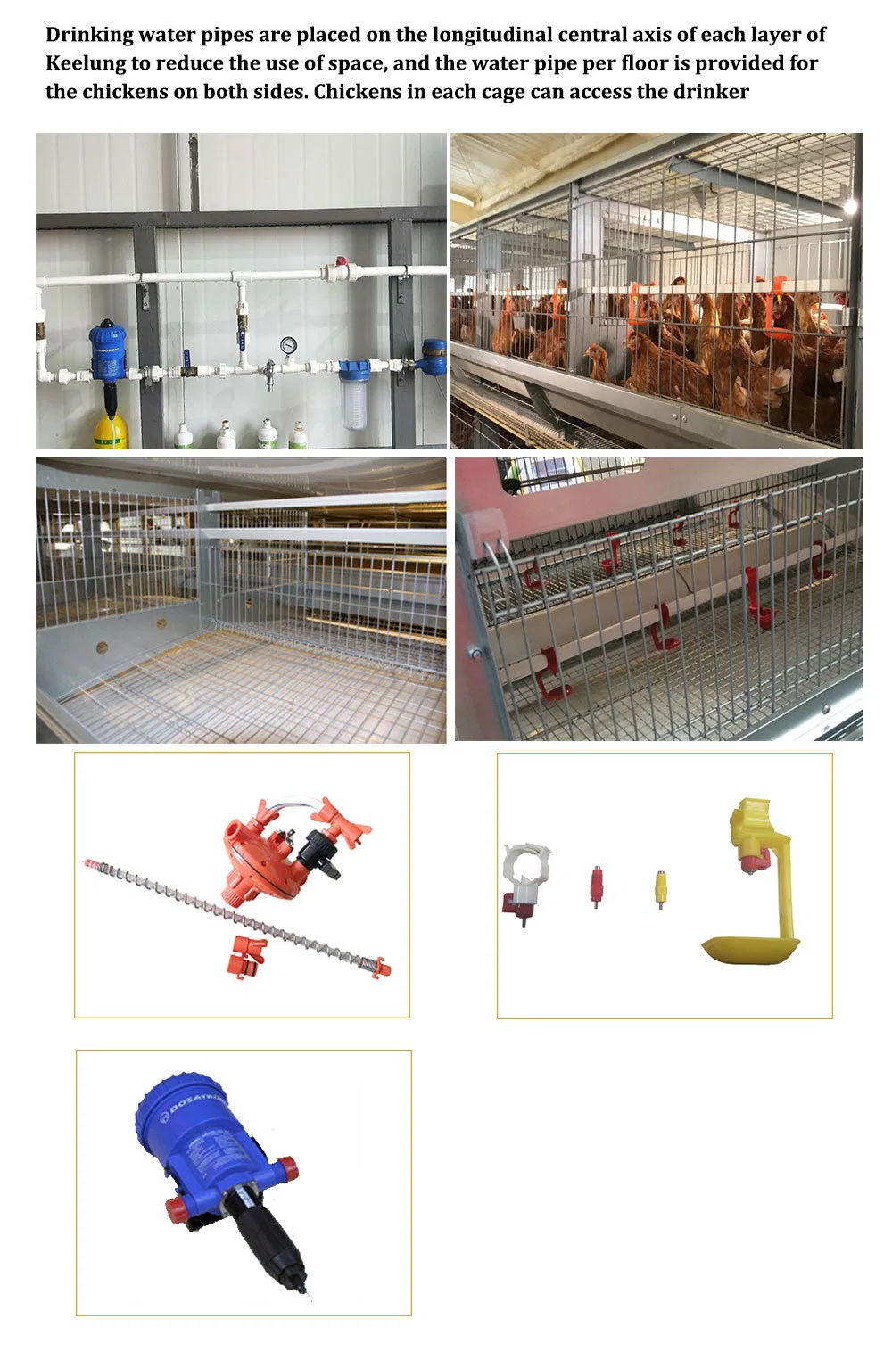 ইস্পাত ফ্রেম ডিম স্তর চিকেন খাঁচা OEM চিকেন ডিম laying খাঁচা 4