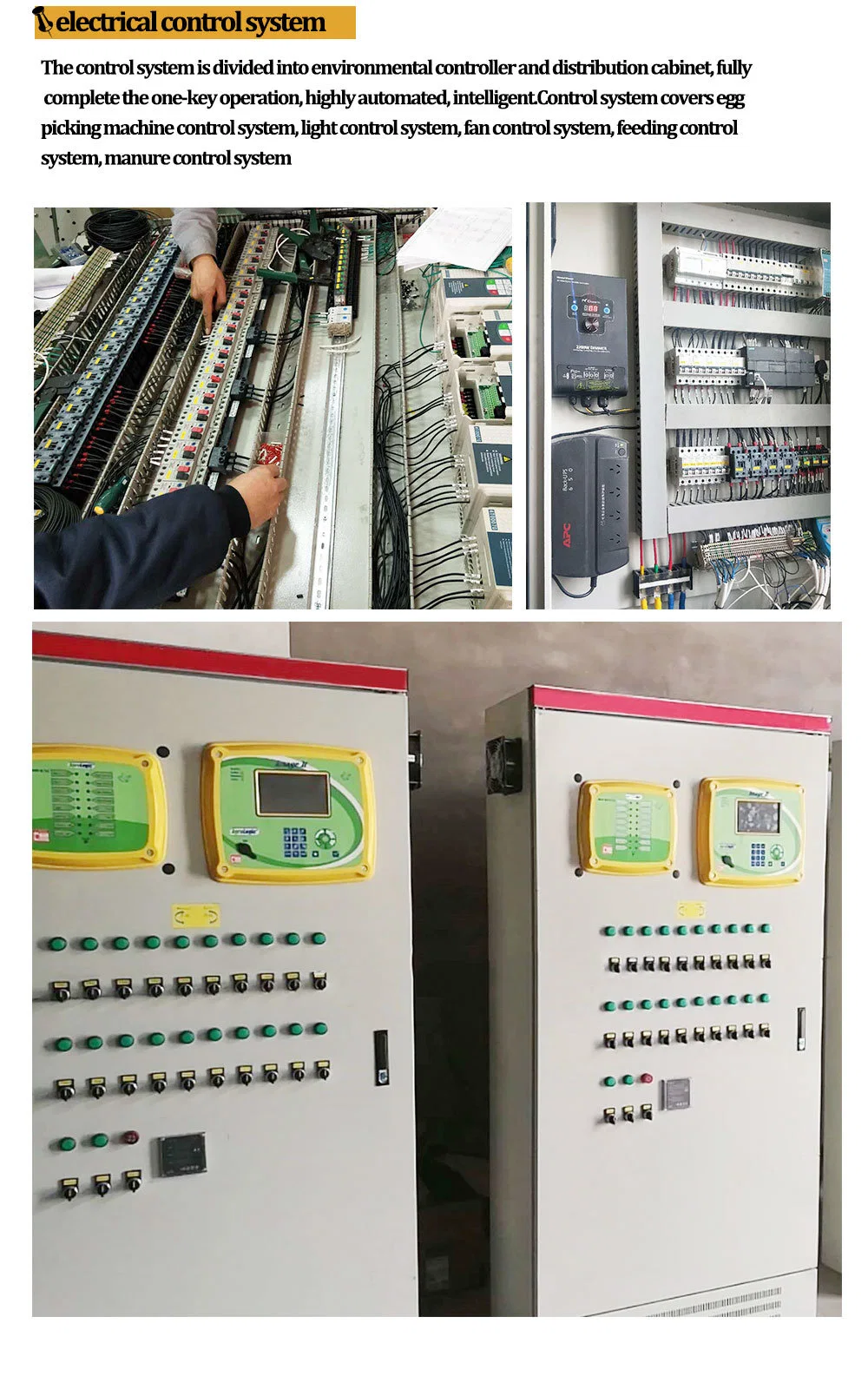 ইস্পাত ফ্রেম ডিম স্তর চিকেন খাঁচা OEM চিকেন ডিম laying খাঁচা 5