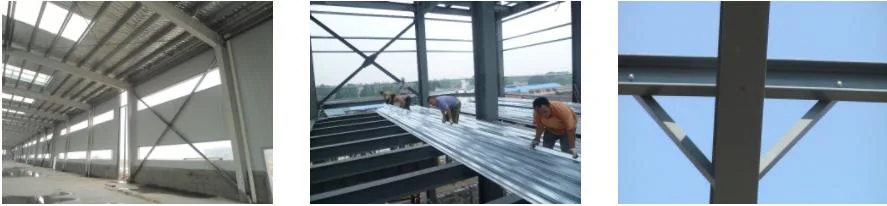 নমনীয় বিন্যাস সহ 100% পুনর্ব্যবহৃত ইস্পাত কাঠামো বিল্ডিং গুদাম 2